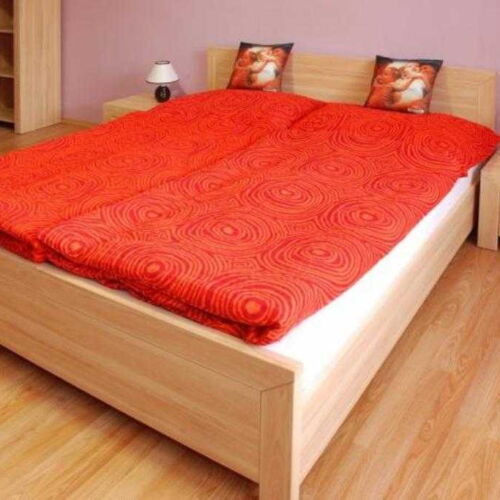 Pokoj se sprchou  s manželskou postelí