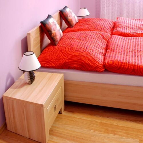 Pokoj se sprchou  pro 3 os.