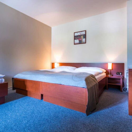 Pokoj se sprchou  pro 3 os. (s možností přistýlky)