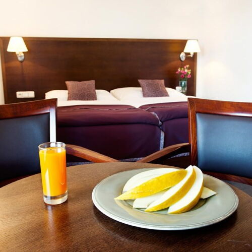 Pokoj s manželskou postelí (s možností přistýlky)