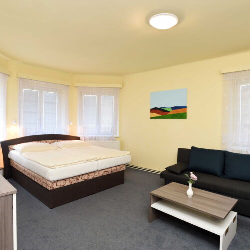 Pokoj se sprchou  pro 3 os.