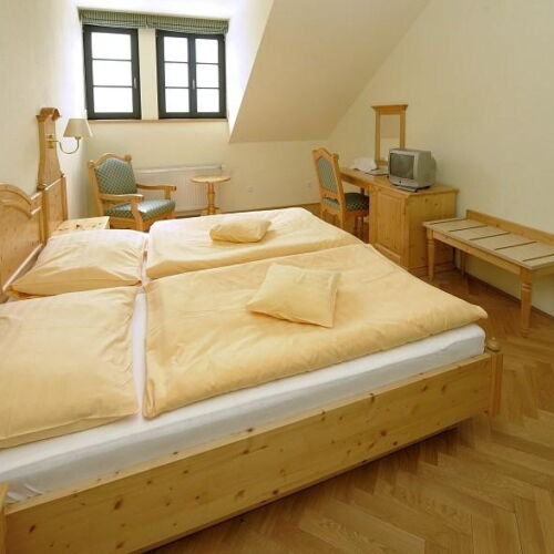 Standard Pokoj se sprchou s manželskou postelí