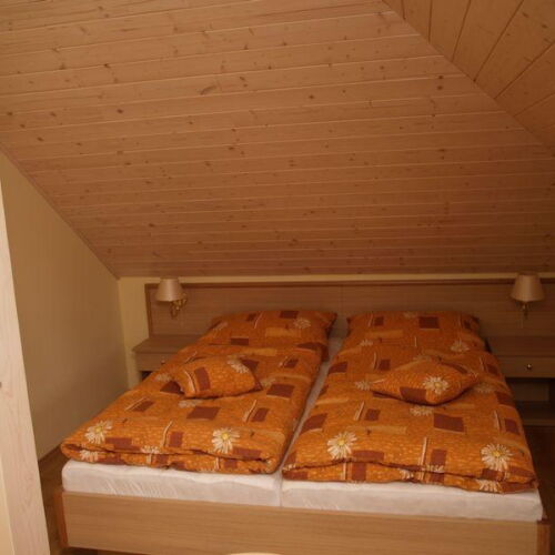 Standard Pokoj se sprchou pro 4 os.