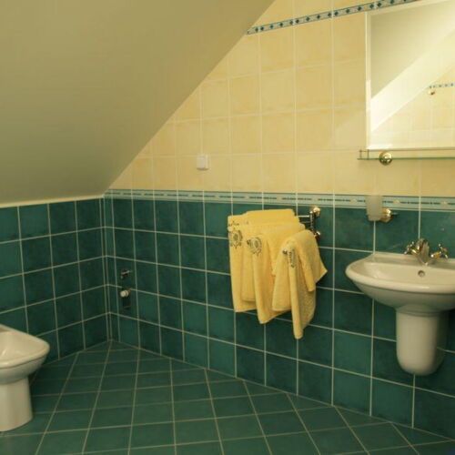 Pokoj se sprchou s vlastní kuchyňkou pro 4 os. (s možností přistýlky)