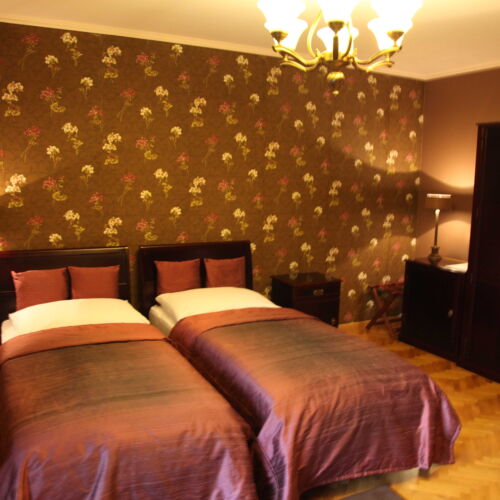 Camera twin classic cu duș