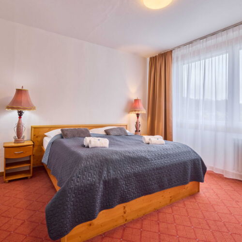 Apartament cu duș pentru 2 pers. (se poate solicita pat suplimentar)