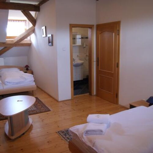 Pokój 3-osobowy z prysznicem