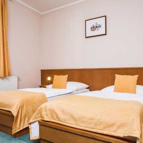 Apartament cu chicinetă proprie cu 1 camera pentru 2 pers. (se poate solicita pat suplimentar)