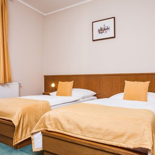 1-Room Apartment for 2 Persons with Bathtub and Own Kitchenette (extra bed available)