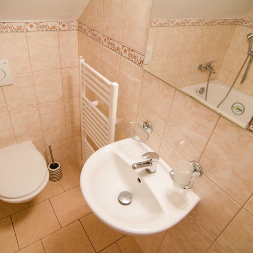 Pokoj se sprchou  pro 2 os. (s možností přistýlky)