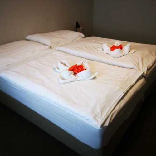 Pokoj se sprchou  pro 2 os. (s možností přistýlky)