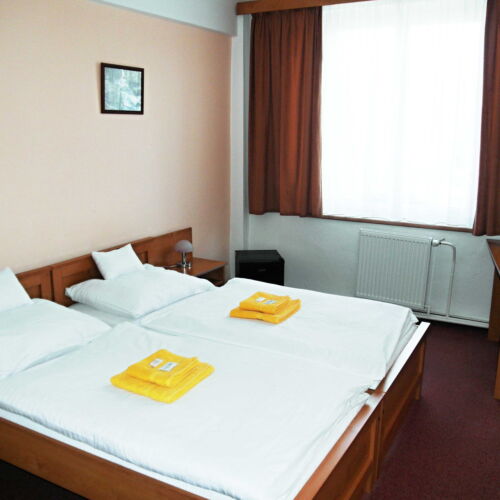 Camera dubla standard cu duș