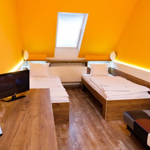 Zweibettzimmer mit Balkon und Dusche (Zusatzbett möglich)