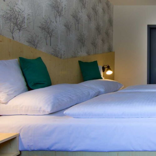 Camera dubla cu cadă hlavní budova