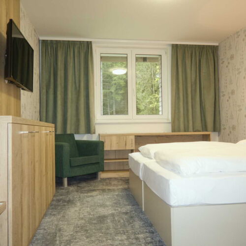 Camera dubla accesibil(ă) persoanelor cu dizabilități budova Depandance 