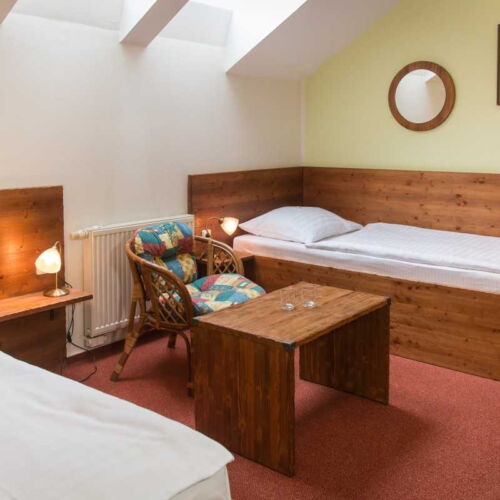 Komfort Pokoj se sprchou pro 2 os.