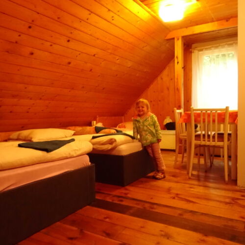 Pokoj pro 3 os. (s možností přistýlky)