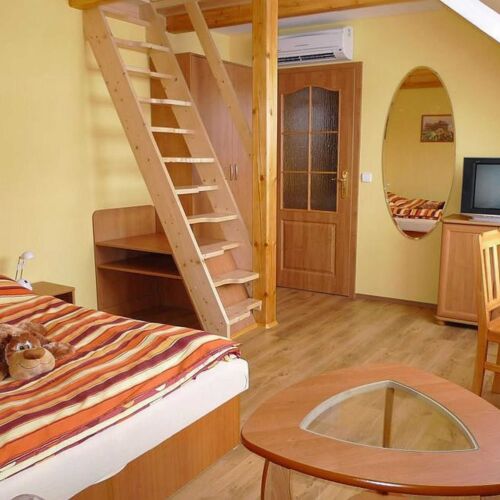 Apartament cu duș cu chicinetă proprie cu 2 camere pentru 4 pers.