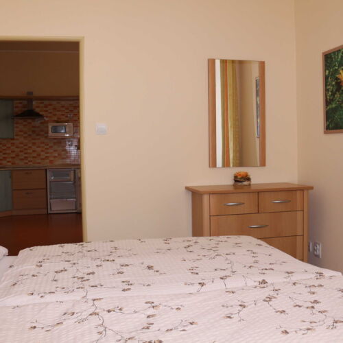 Camera twin cu duș cu chicinetă proprie (se poate solicita pat suplimentar)