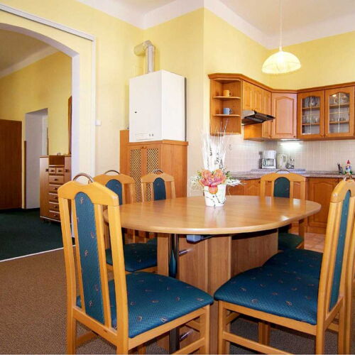 Apartament cu duș cu chicinetă proprie pentru 4 pers. (se poate solicita pat suplimentar)