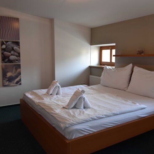 Pokoj se sprchou s terasou s manželskou postelí