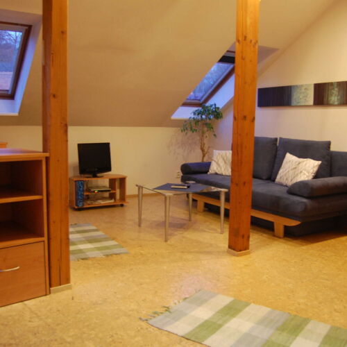 Apartman se sprchou s vlastní kuchyňkou pro 3 os. s 1 ložnicí (s možností přistýlky)