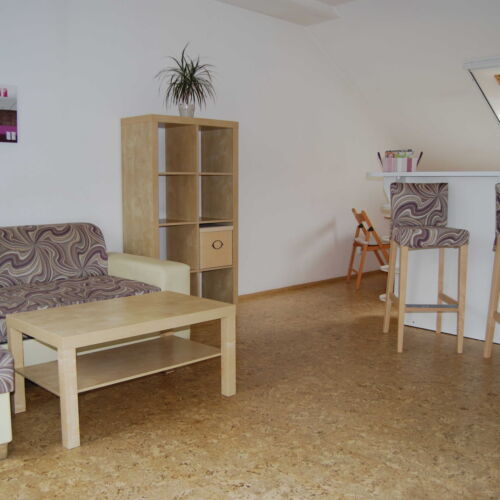 Superior Apartman se sprchou pro 3 os. (s možností přistýlky)