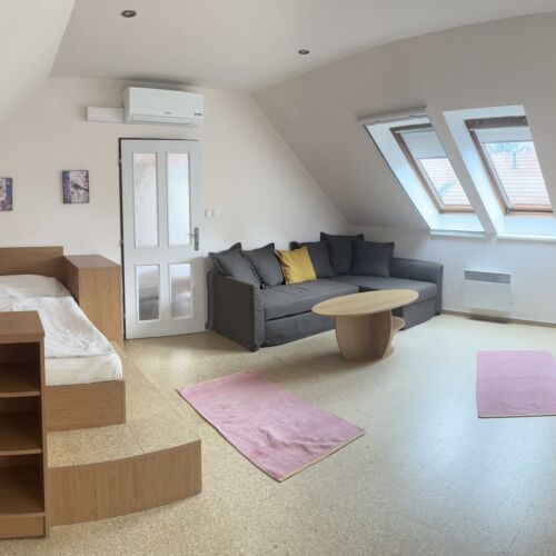 Deluxe Apartman pro 3 os. s 1 ložnicí v podkroví (s možností přistýlky)