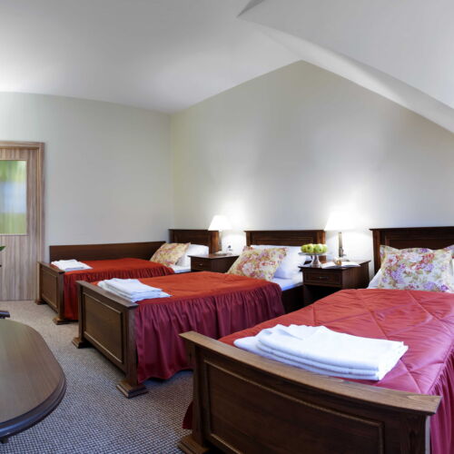 Pokoj se sprchou pro 3 os. na poschodí