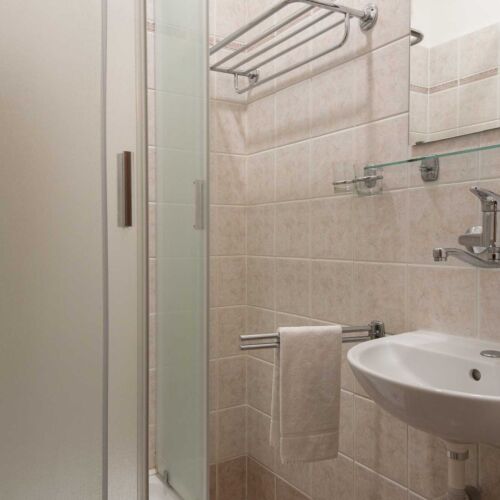 Camera twin cu duș (se poate solicita pat suplimentar)