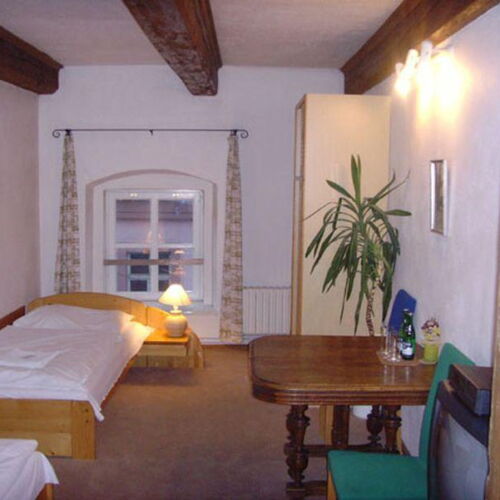 Pokoj pro 1 os. s výhledem do zahrady 