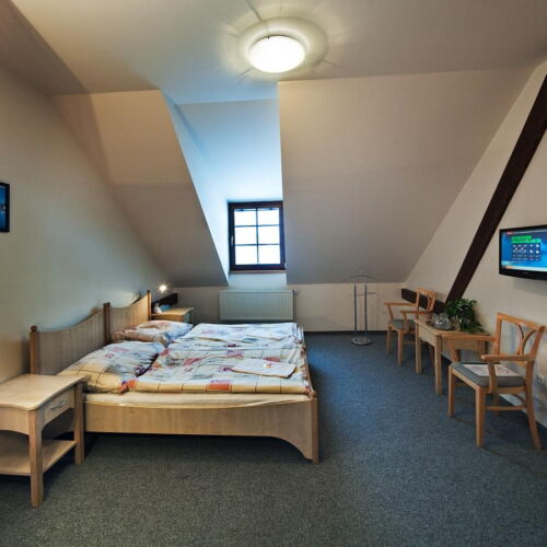 Twin Room with Shower (extra bed available)