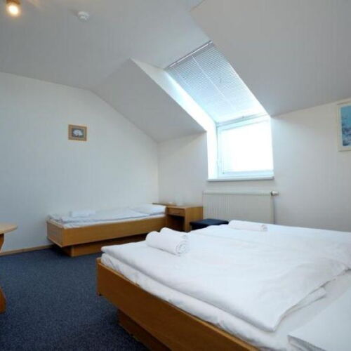 Pokój 3-osobowy z prysznicem