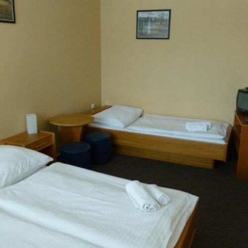 Pokoj se sprchou  pro 3 os.