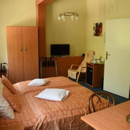 Pokoj se sprchou  pro 3 os.