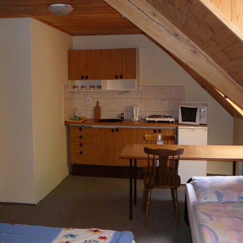 Pokoj se sprchou s vlastní kuchyňkou pro 3 os.