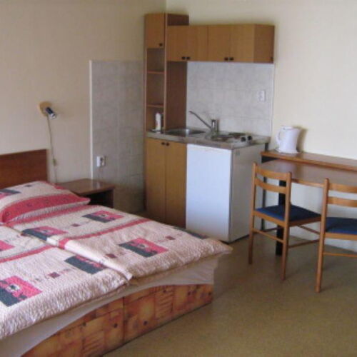 Pokoj se sprchou s vlastní kuchyňkou pro 3 os. (s možností přistýlky)