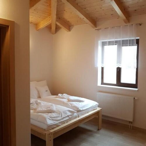 Camera tripla cu duș