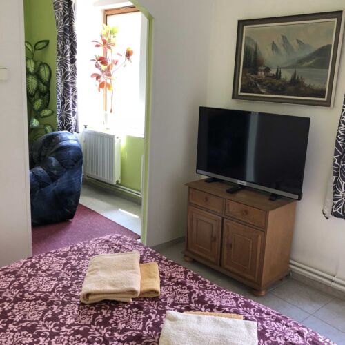Apartament 2-osobowy z prysznicem z 1 pomieszczeniem sypialnianym (możliwa dostawka)