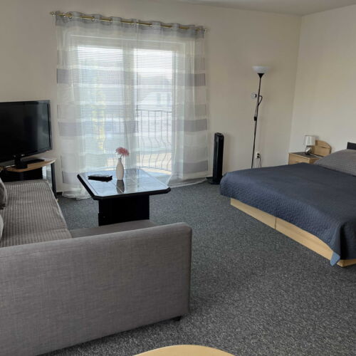 Studio 1-Room Apartment for 1 Person with Kitchenette (extra bed available)