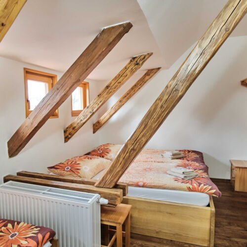 Pokoj se sprchou  pro 3 os.