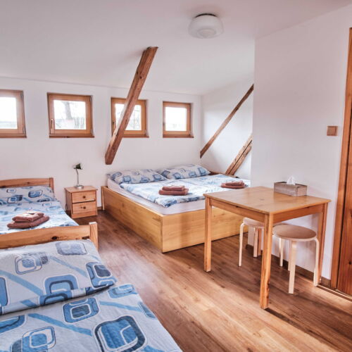 Pokoj se sprchou s terasou pro 2 os. (s možností přistýlky)