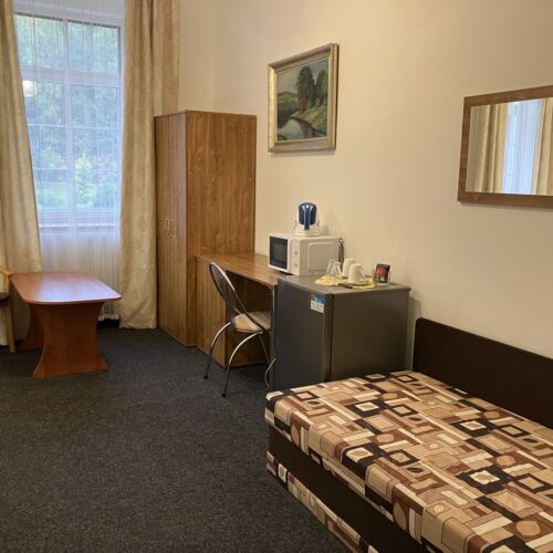 Pokoj se sprchou  s manželskou postelí (s možností přistýlky)