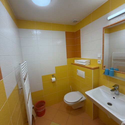 Standard Single Room with Shower (extra bed available)