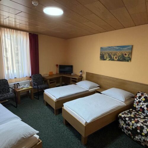 Standard Triple Room with Shower (extra bed available)
