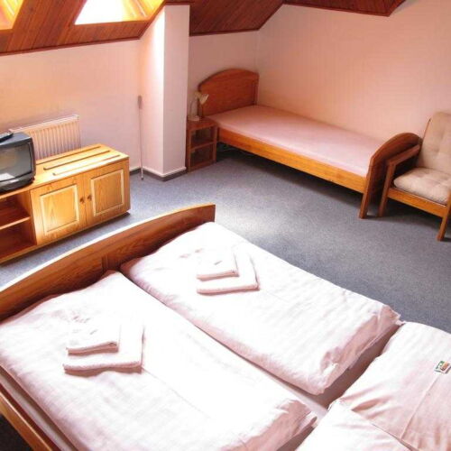 Camera tripla cu duș