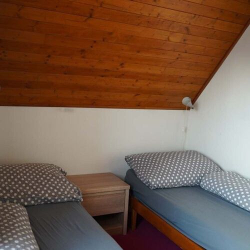 Twin Room with Shower (extra bed available)