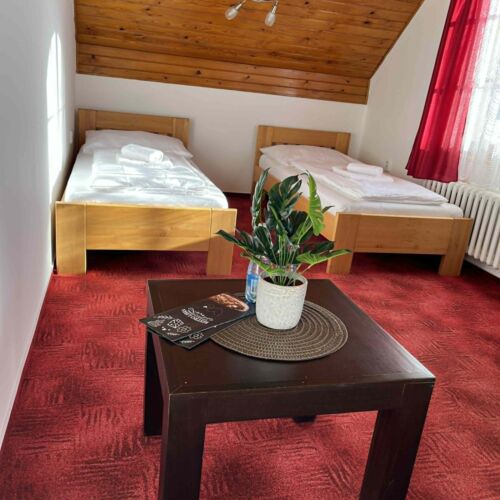 Zweibettzimmer mit Dusche und Eigner Küche