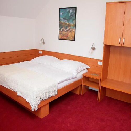 Camera twin cu duș (se poate solicita pat suplimentar)