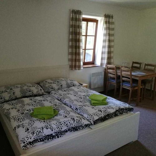 2-Room Apartment for 4 Persons with Shower (extra bed available)